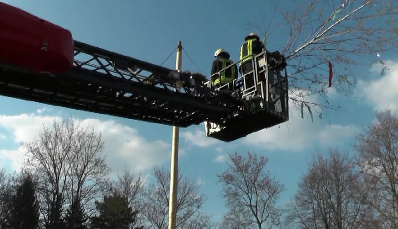 MEgional mit dem Maibaumsetzen in Pockau-Lengefeld MEgional mit dem Maibaumsetzen in Pockau-Lengefeld