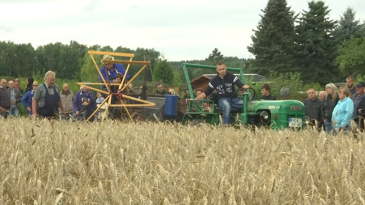 MEgional mit dem Erntefest in Lauta MEgional mit dem Erntefest in Lauta