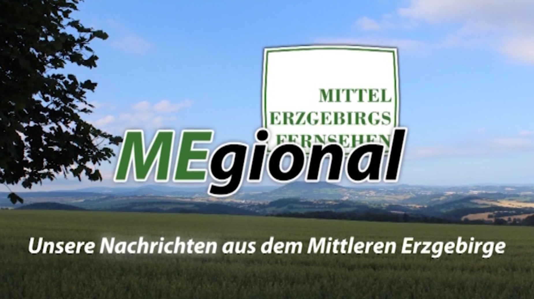 MEgional